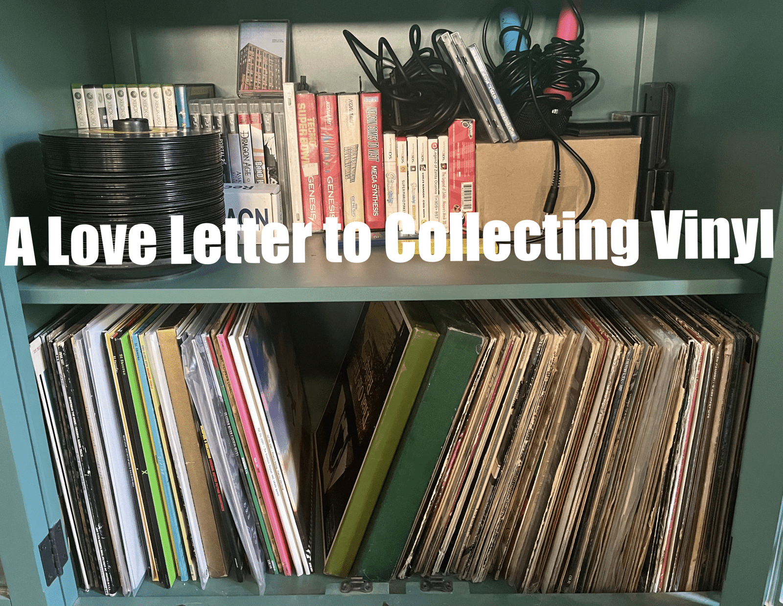 A Love Letter to Collecting Vinyl
